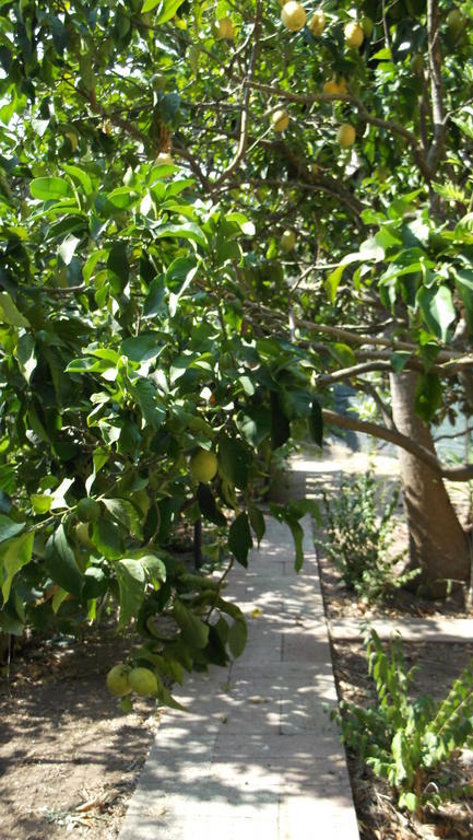 Solimarina Αλγκέρο Εξωτερικό φωτογραφία