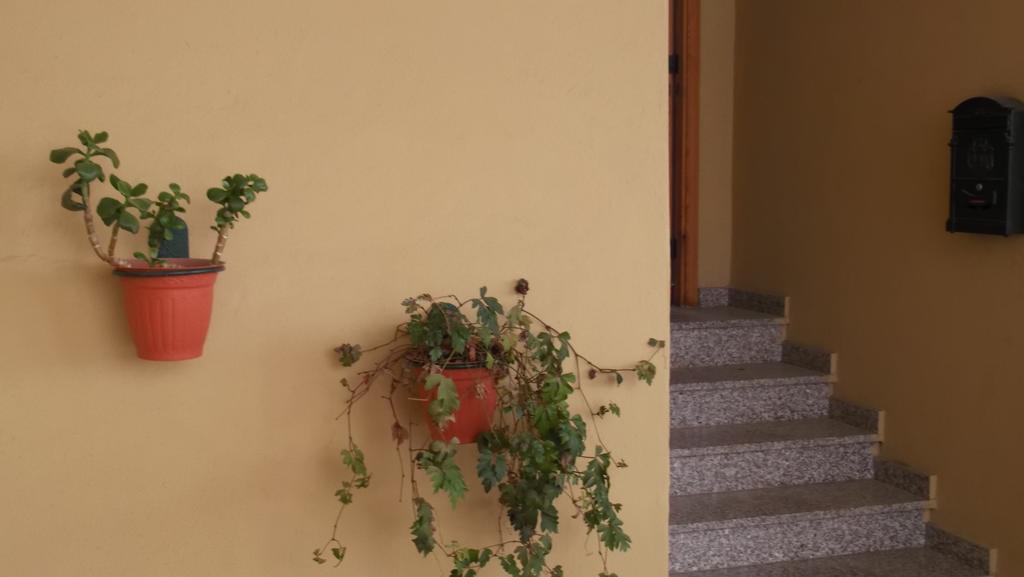 Solimarina Αλγκέρο Εξωτερικό φωτογραφία